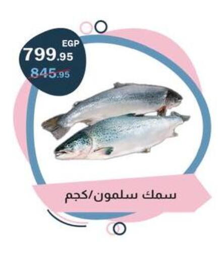 available at Flamingo Hyper Market in Egypt - Cairo