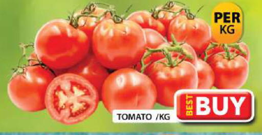Tomato available at جراند هايبر ماركت in الإمارات العربية المتحدة , الامارات - دبي