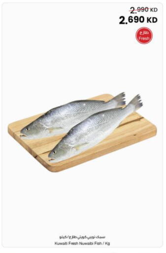 available at The Sultan Center in Kuwait - Ahmadi Governorate