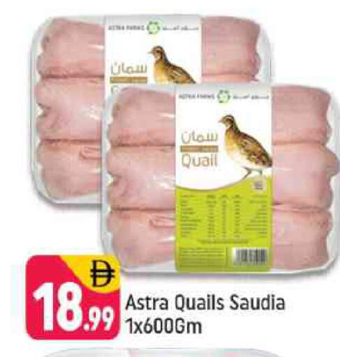 available at Shaklan  in UAE - Dubai