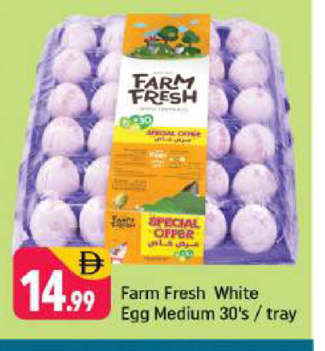 available at Shaklan  in UAE - Dubai