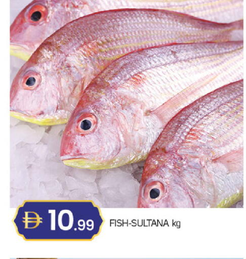 available at سوق طلال in الإمارات العربية المتحدة , الامارات - دبي