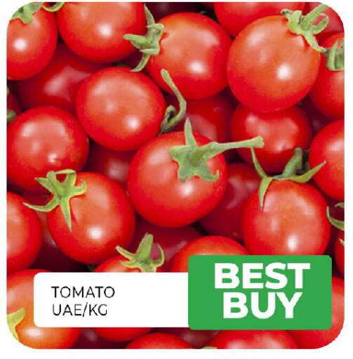 Tomato available at Al Madina  in UAE - Sharjah / Ajman