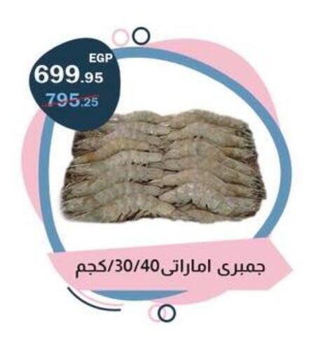 available at فلامنجو هايبرماركت in Egypt - القاهرة