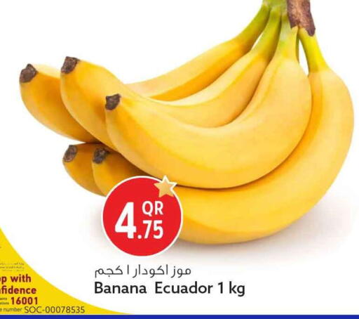 Banana from Ecuador available at سفاري هايبر ماركت in قطر - الدوحة