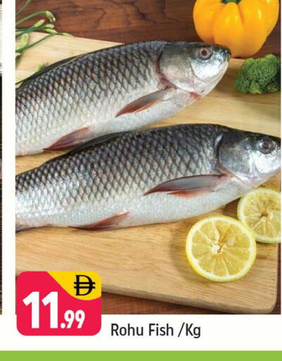 available at Shaklan  in UAE - Dubai