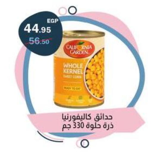 available at فلامنجو هايبرماركت in Egypt - القاهرة