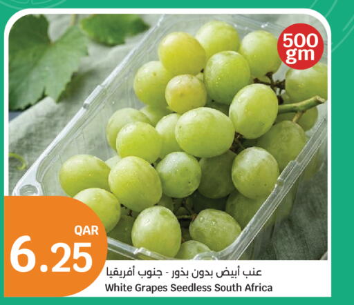 Grapes from South Africa available at سيتي هايبرماركت in قطر - الخور