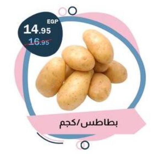 available at فلامنجو هايبرماركت in Egypt - القاهرة