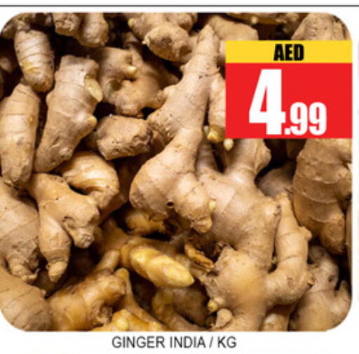 Ginger from India available at لكي سنتر in الإمارات العربية المتحدة , الامارات - الشارقة / عجمان