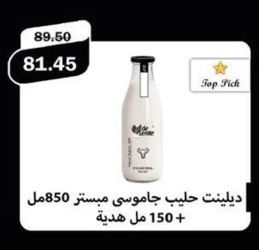 available at فلامنجو هايبرماركت in Egypt - القاهرة