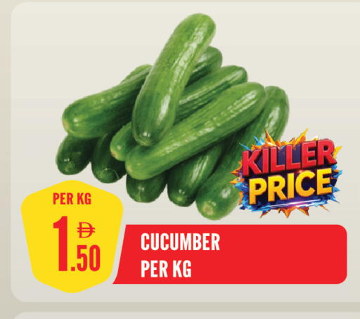 Cucumber available at Dream Land in UAE - Sharjah / Ajman