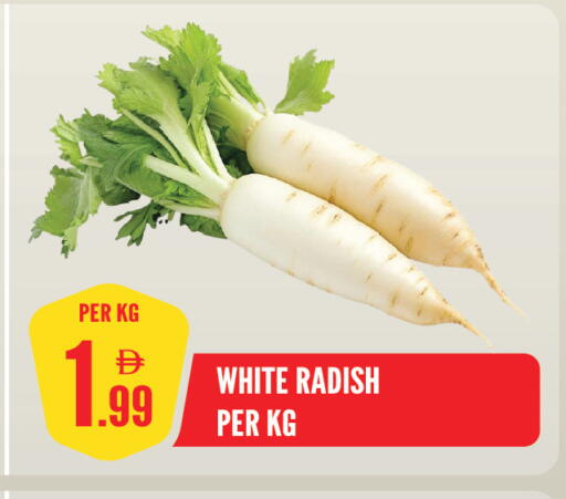Radish available at Dream Land in UAE - Sharjah / Ajman
