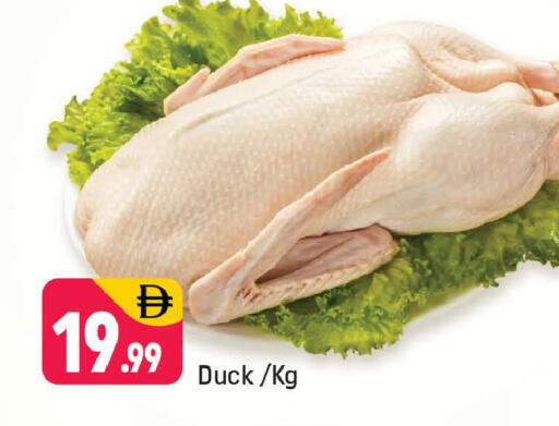 available at Shaklan  in UAE - Dubai