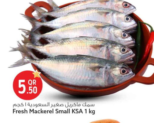 available at Safari Hypermarket in Qatar - Al Rayyan