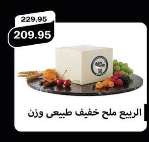 available at فلامنجو هايبرماركت in Egypt - القاهرة