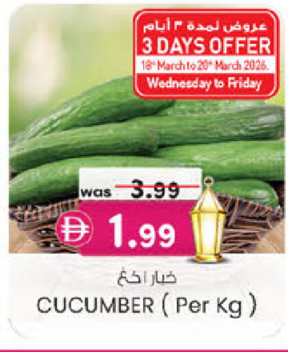 Cucumber available at ك. الم. للتجارة in الإمارات العربية المتحدة , الامارات - الشارقة / عجمان