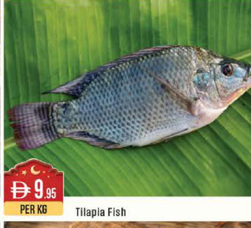 available at ويست زون سوبرماركت in الإمارات العربية المتحدة , الامارات - أبو ظبي