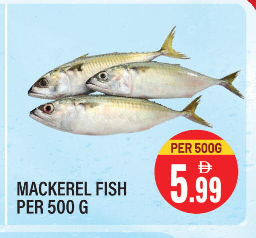 available at Dream Land in UAE - Sharjah / Ajman