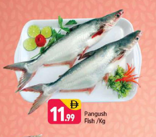 available at Shaklan  in UAE - Dubai