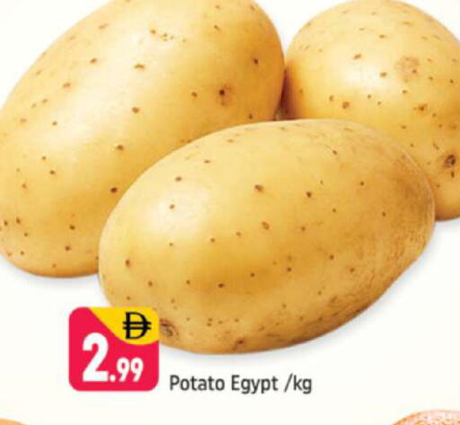 Potato from Egypt available at Shaklan  in UAE - Dubai