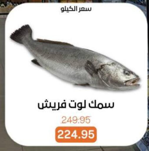 available at Beit El Gomla in Egypt - Cairo