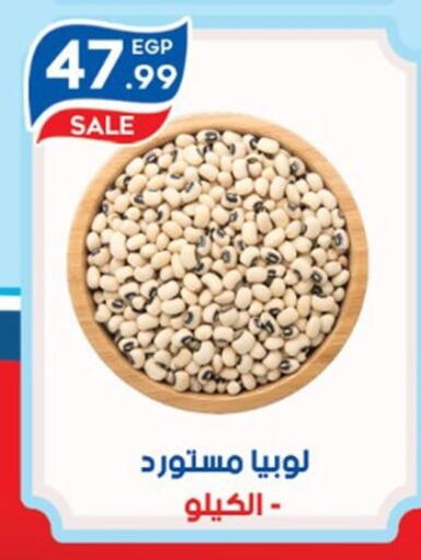 available at أولاد المحاوى in Egypt - القاهرة