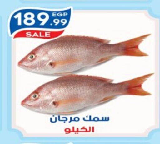 available at أولاد المحاوى in Egypt - القاهرة