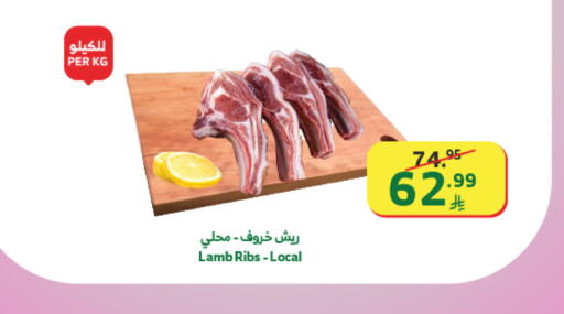available at Al Raya in KSA, Saudi Arabia, Saudi - Tabuk