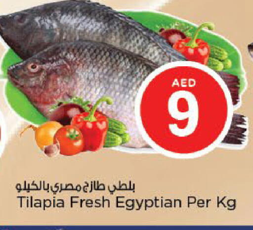 available at نستو هايبرماركت in الإمارات العربية المتحدة , الامارات - أبو ظبي