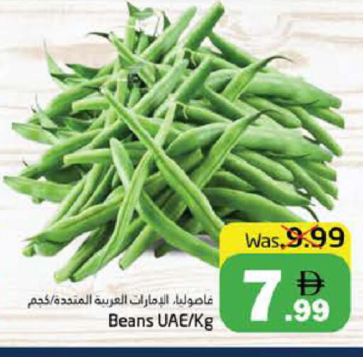 available at PASONS GROUP in UAE - Fujairah