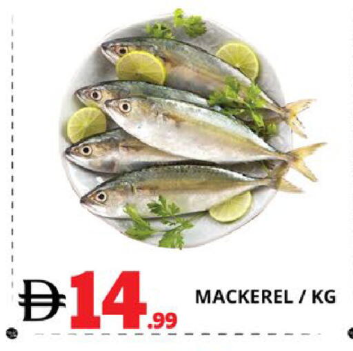 available at EXPRESS AL MADEENA HYPERMARKET LLC in UAE - Abu Dhabi