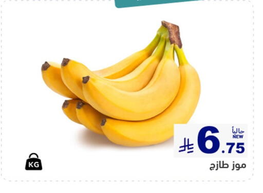 available at أسواق رامز in مملكة العربية السعودية, السعودية, سعودية - المنطقة الشرقية