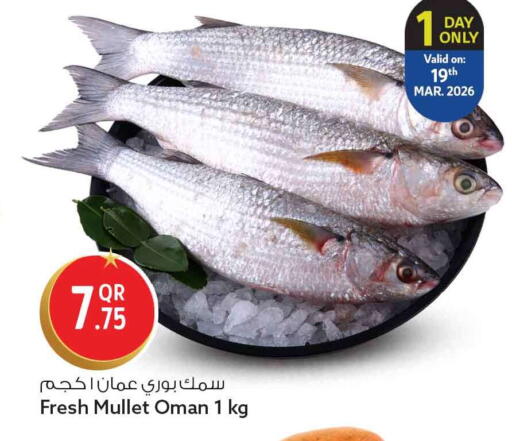 available at سفاري هايبر ماركت in قطر - الخور