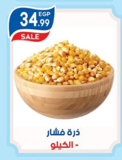 available at أولاد المحاوى in Egypt - القاهرة