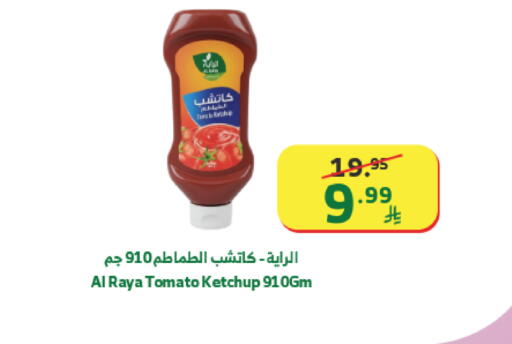 Tomato available at الراية in مملكة العربية السعودية, السعودية, سعودية - خميس مشيط