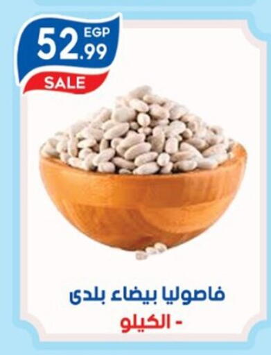 available at أولاد المحاوى in Egypt - القاهرة