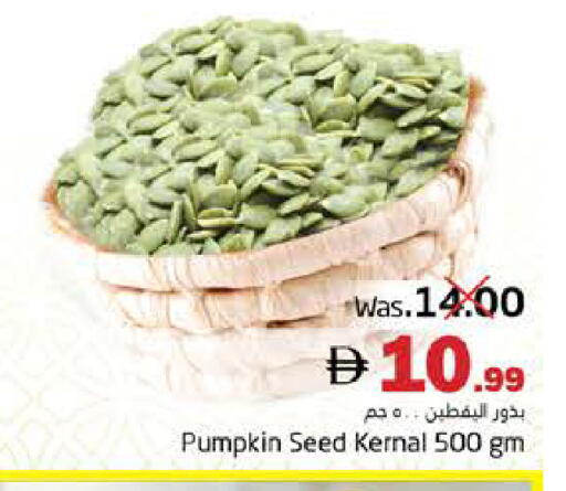 Pumpkin available at PASONS GROUP in UAE - Fujairah