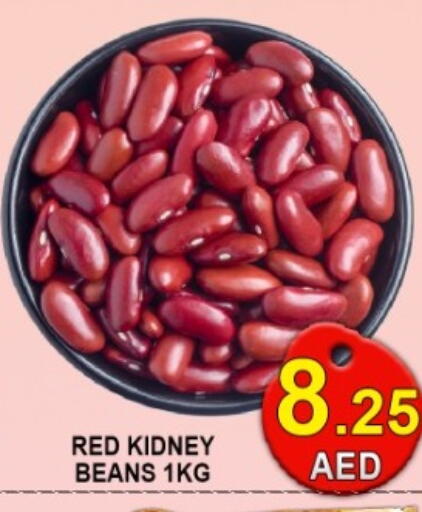 available at جرين جيفت متجر أقسام in الإمارات العربية المتحدة , الامارات - دبي