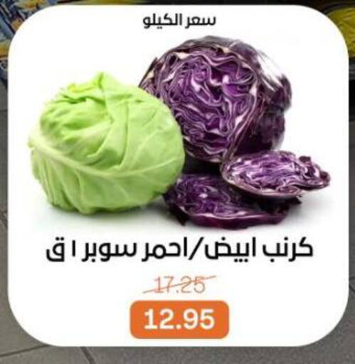 available at Beit El Gomla in Egypt - Cairo