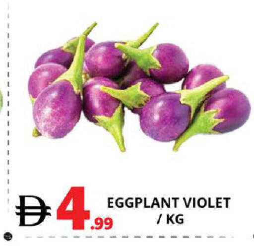 Eggplant available at EXPRESS AL MADEENA HYPERMARKET LLC in UAE - Abu Dhabi
