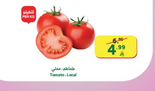 Tomato available at الراية in مملكة العربية السعودية, السعودية, سعودية - تبوك
