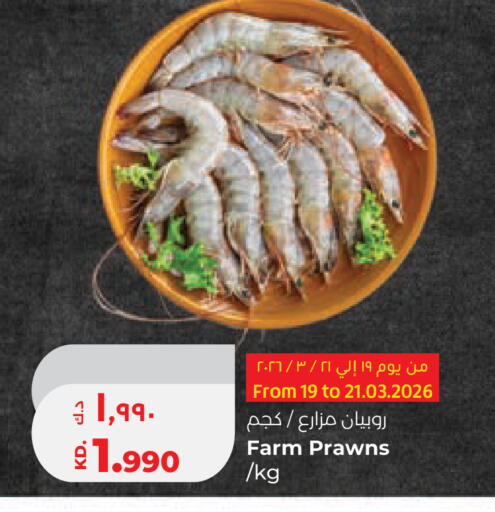 available at لولو هايبر ماركت in الكويت - مدينة الكويت