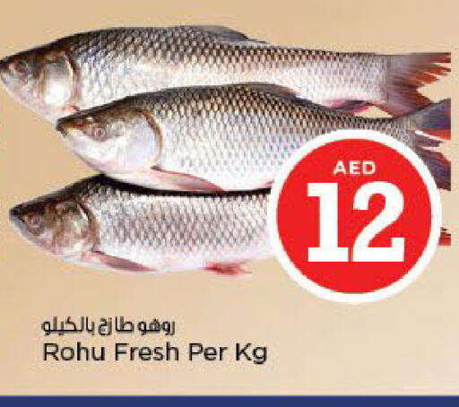 available at نستو هايبرماركت in الإمارات العربية المتحدة , الامارات - أبو ظبي