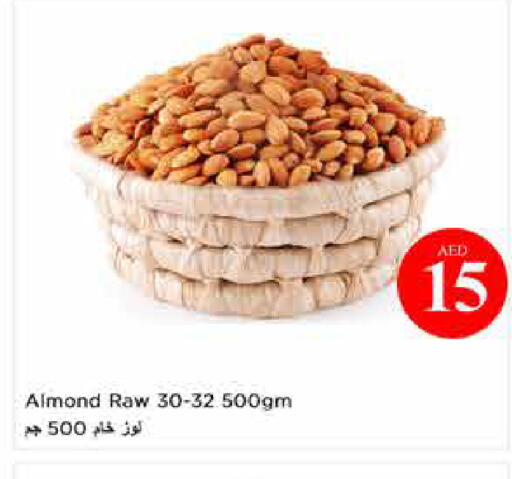 available at Last Chance  in UAE - Fujairah
