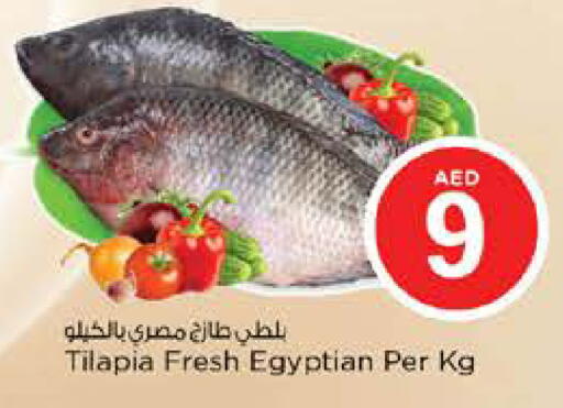 available at Nesto Hypermarket in UAE - Sharjah / Ajman