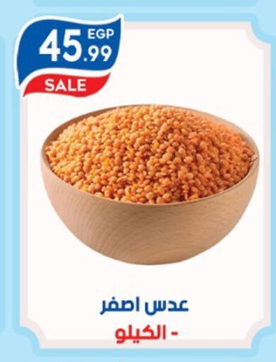 available at أولاد المحاوى in Egypt - القاهرة