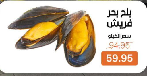 available at Beit El Gomla in Egypt - Cairo