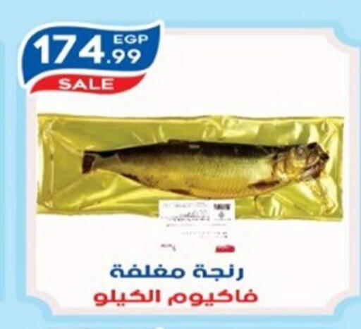 available at أولاد المحاوى in Egypt - القاهرة