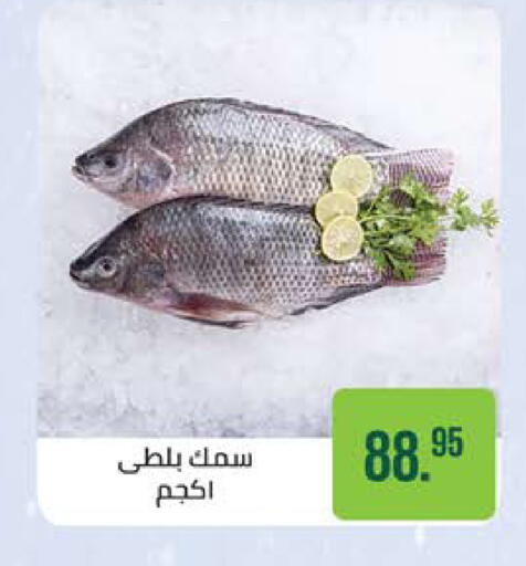 available at سعودي سوبرماركت in Egypt - القاهرة